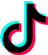 TikTok Icon